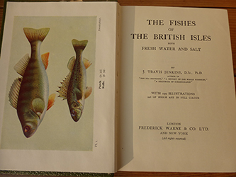 Fishes British Isles